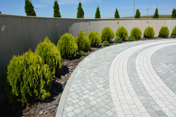 Best Professional Driveway Pavers  in Shepherd, TX